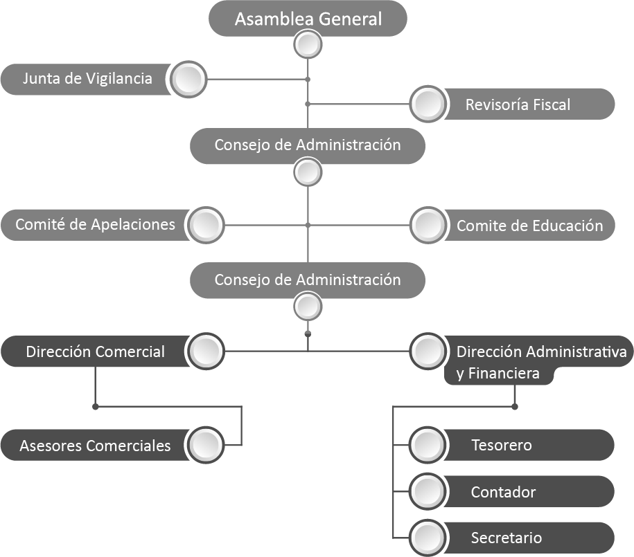 Nuestra Estructura Organizacional